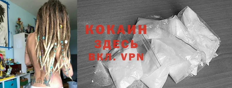 Cocaine Эквадор  сколько стоит  mega сайт  Белая Холуница 